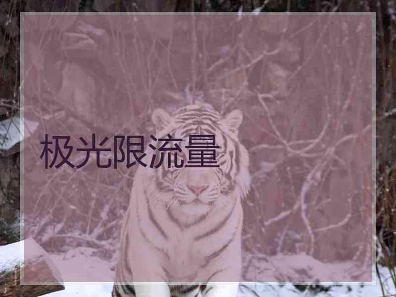 极光限流量