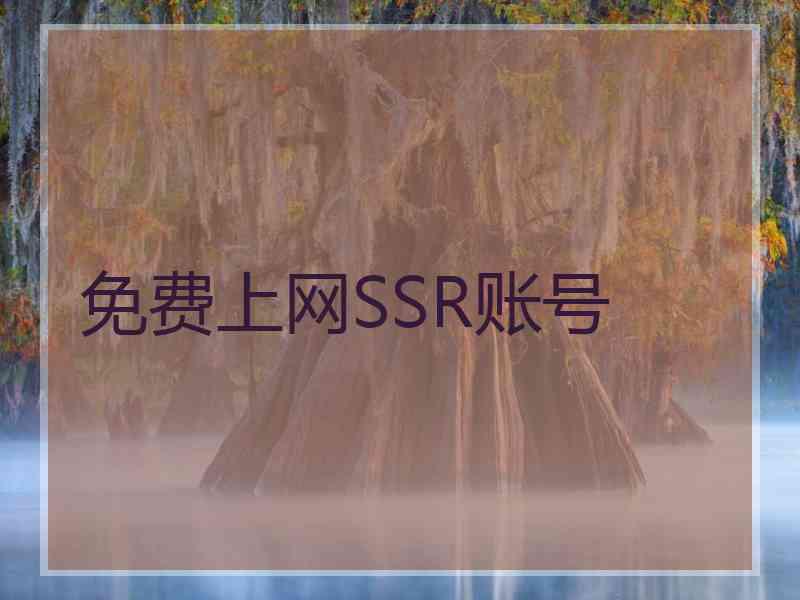 免费上网SSR账号