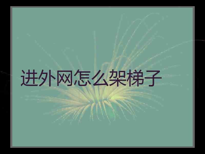 进外网怎么架梯子