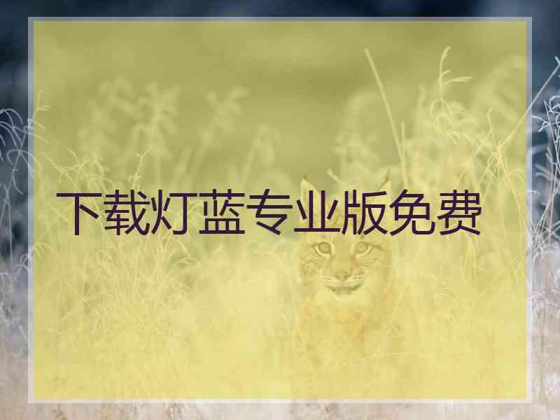 下载灯蓝专业版免费