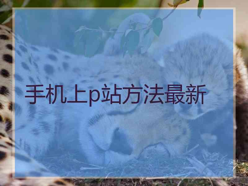 手机上p站方法最新