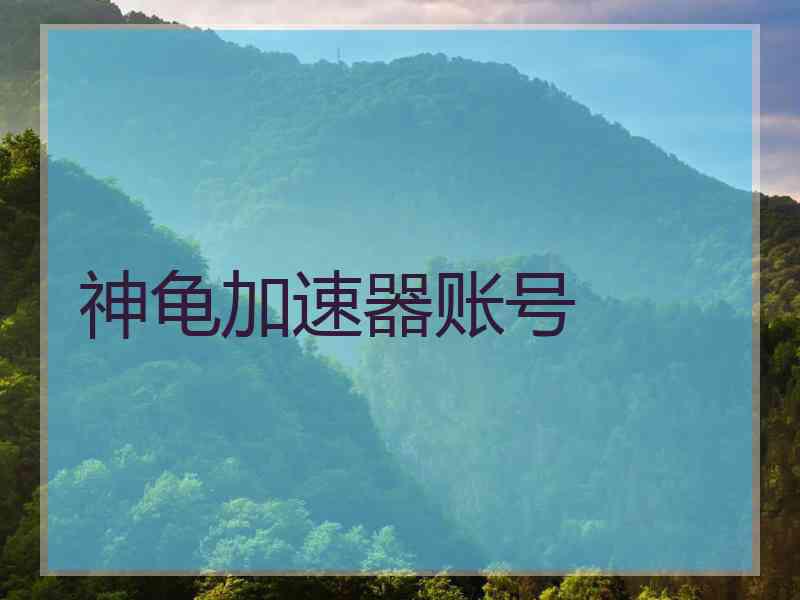 神龟加速器账号