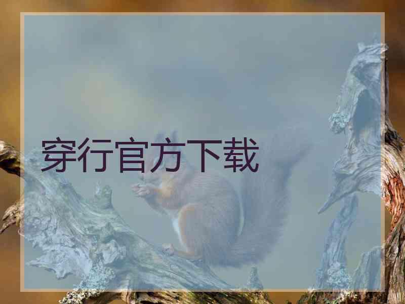 穿行官方下载