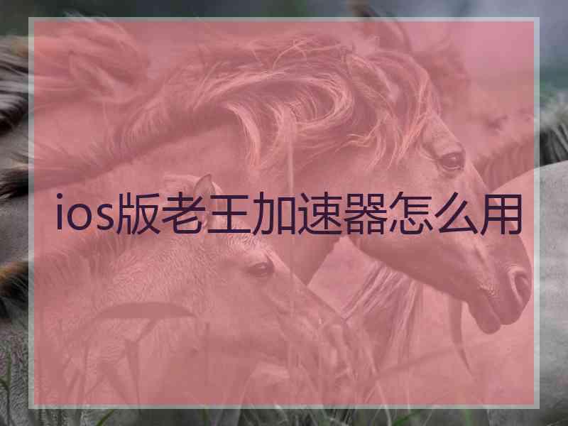 ios版老王加速器怎么用