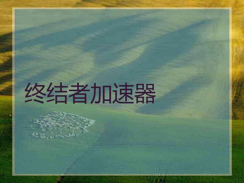 终结者加速器