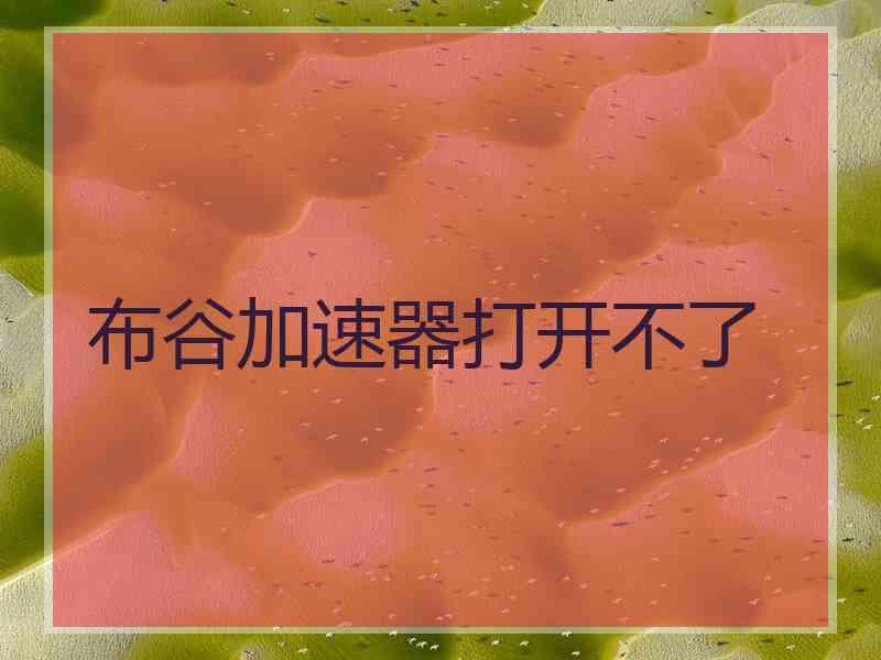 布谷加速器打开不了