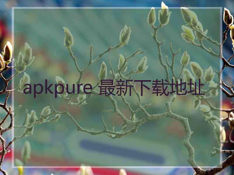 apkpure 最新下载地址