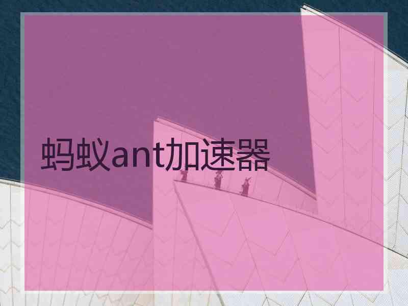 蚂蚁ant加速器