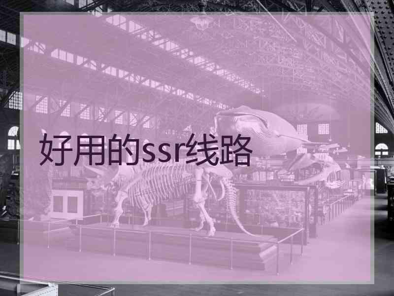 好用的ssr线路
