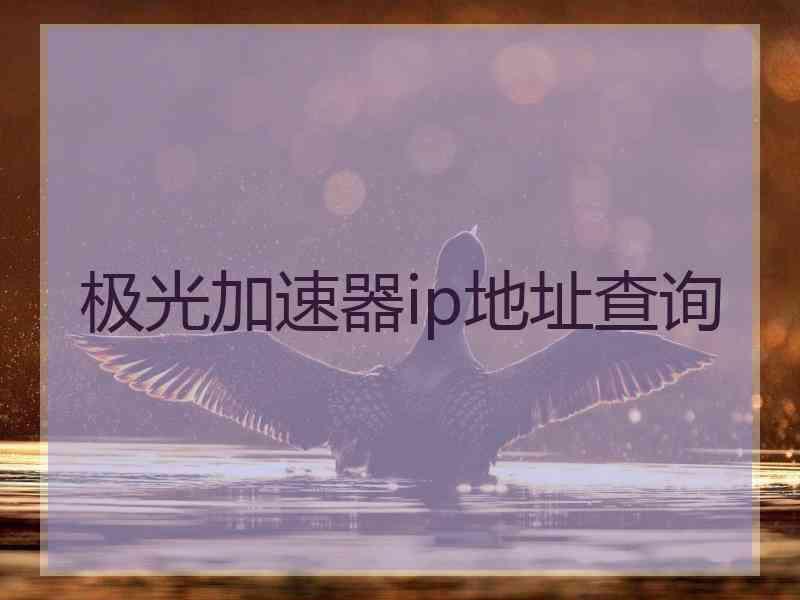 极光加速器ip地址查询