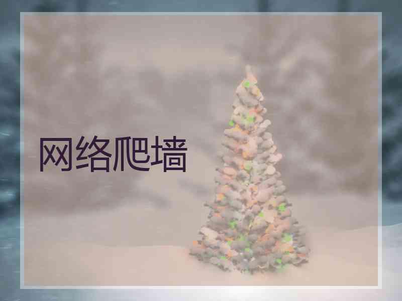 网络爬墙