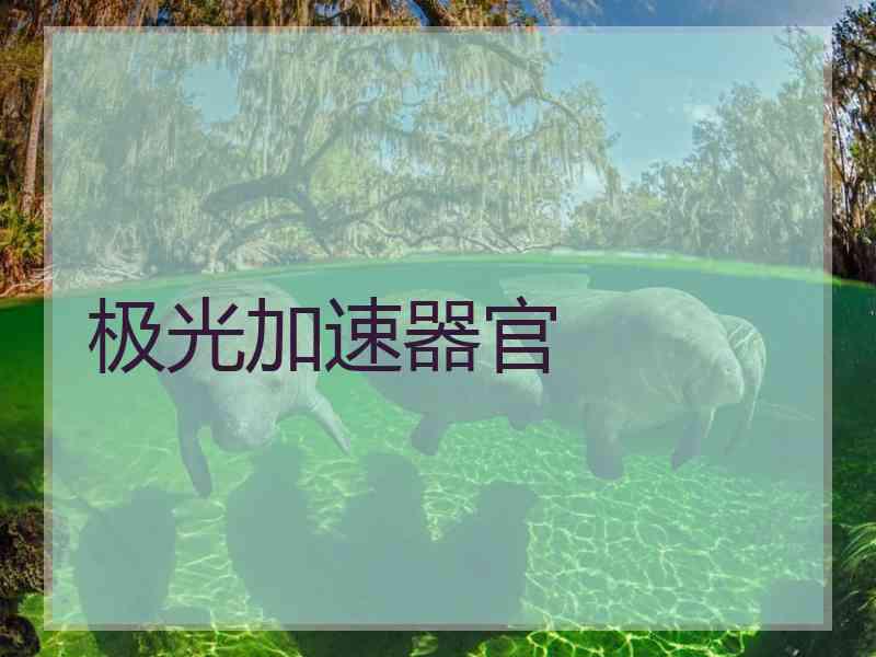 极光加速器官