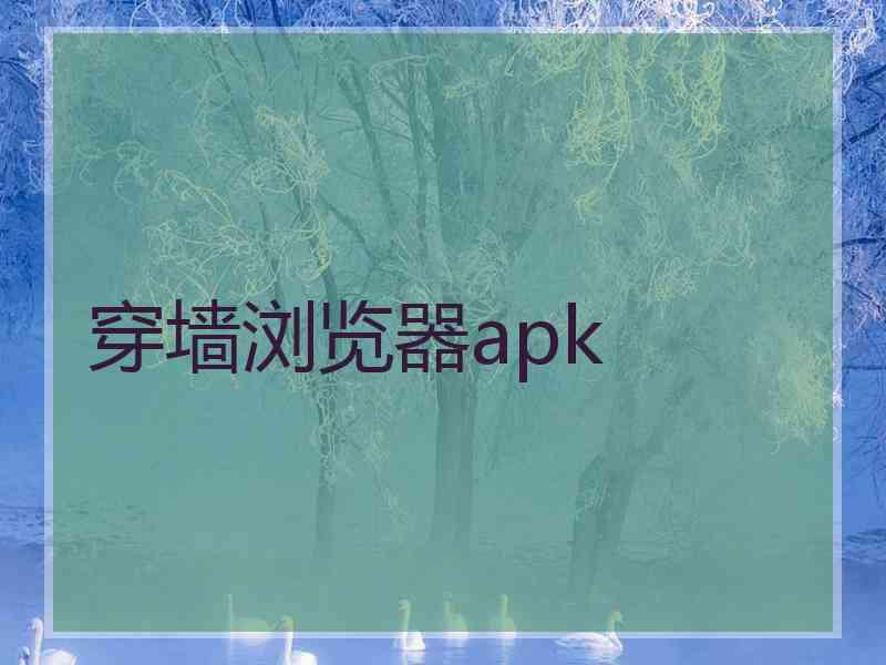 穿墙浏览器apk