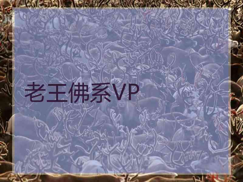 老王佛系VP
