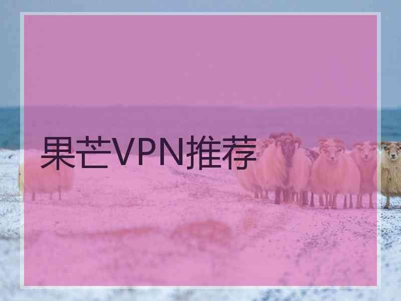 果芒VPN推荐