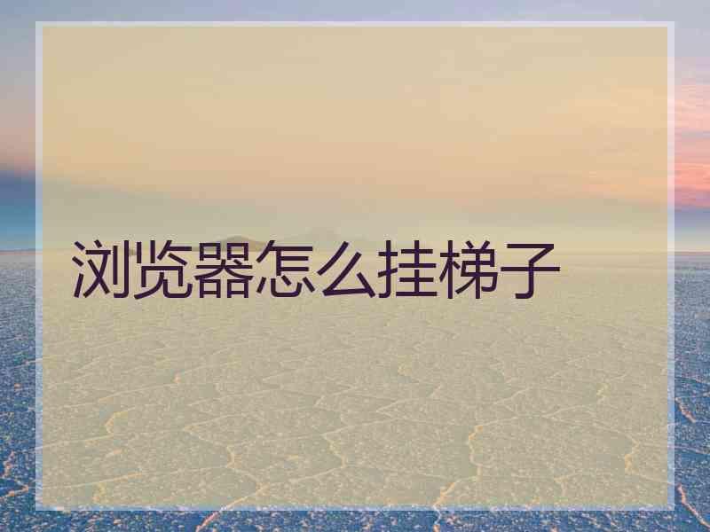 浏览器怎么挂梯子
