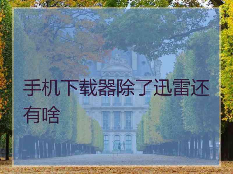 手机下载器除了迅雷还有啥