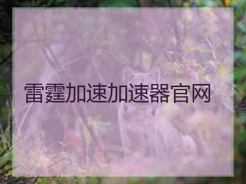 雷霆加速加速器官网
