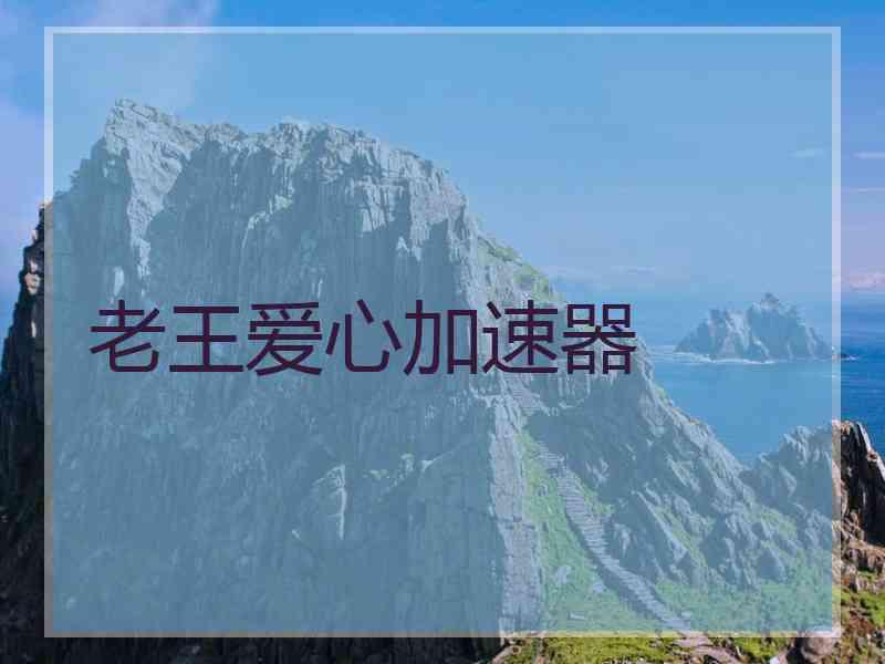 老王爱心加速器