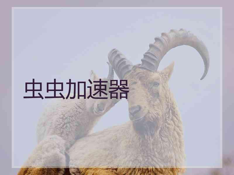 虫虫加速器