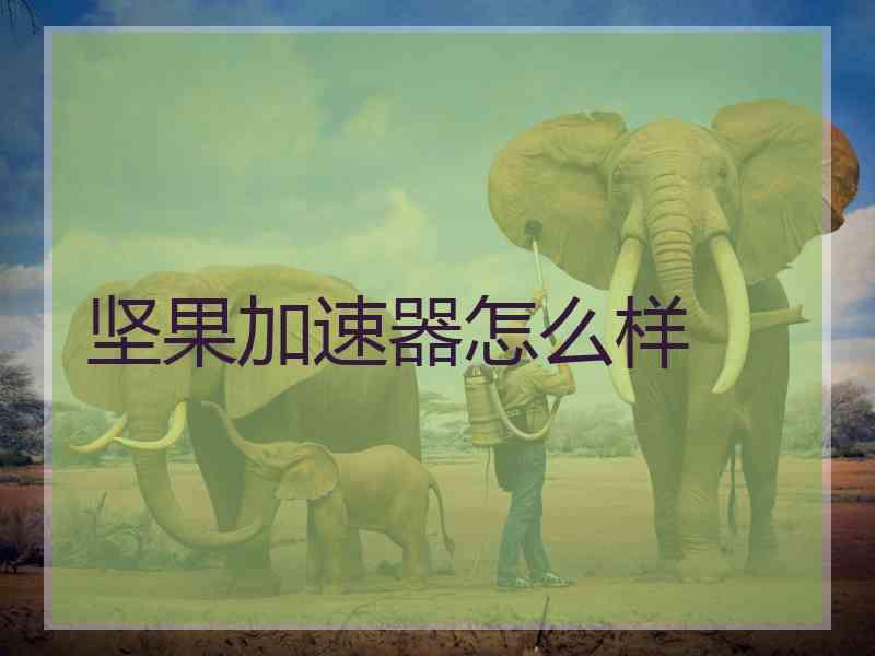 坚果加速器怎么样