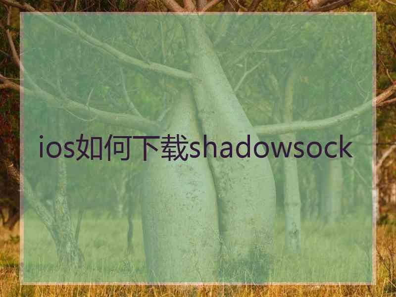 ios如何下载shadowsock