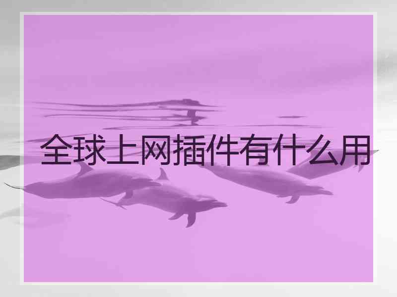 全球上网插件有什么用