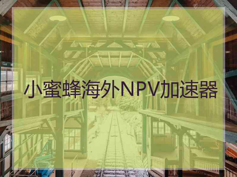小蜜蜂海外NPV加速器