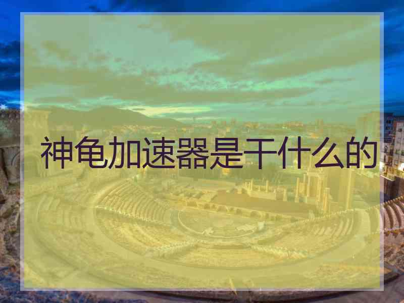 神龟加速器是干什么的