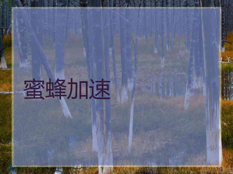 蜜蜂加速