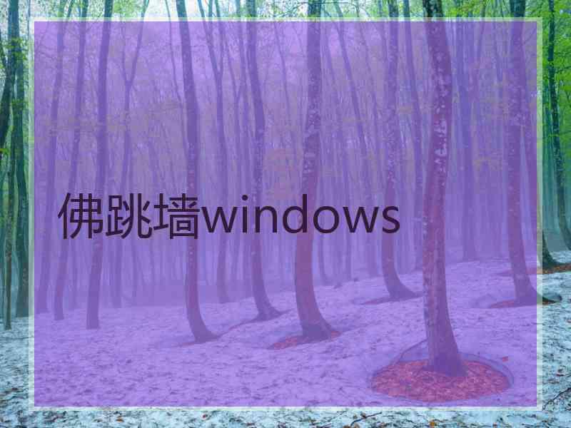 佛跳墙windows