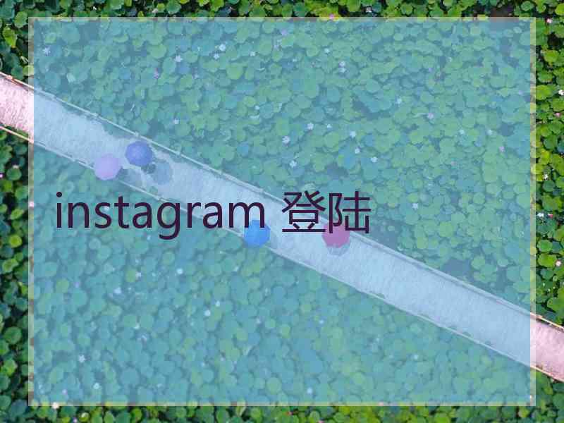instagram 登陆