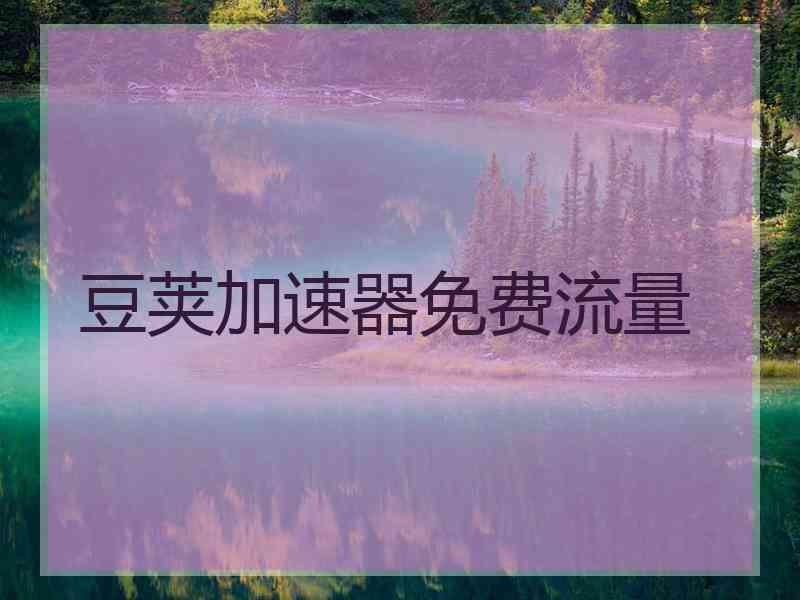 豆荚加速器免费流量