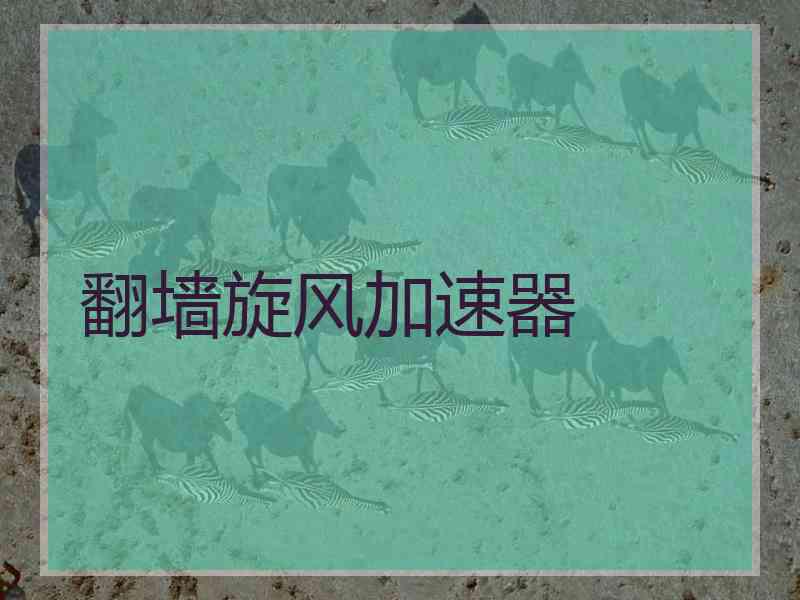 翻墙旋风加速器