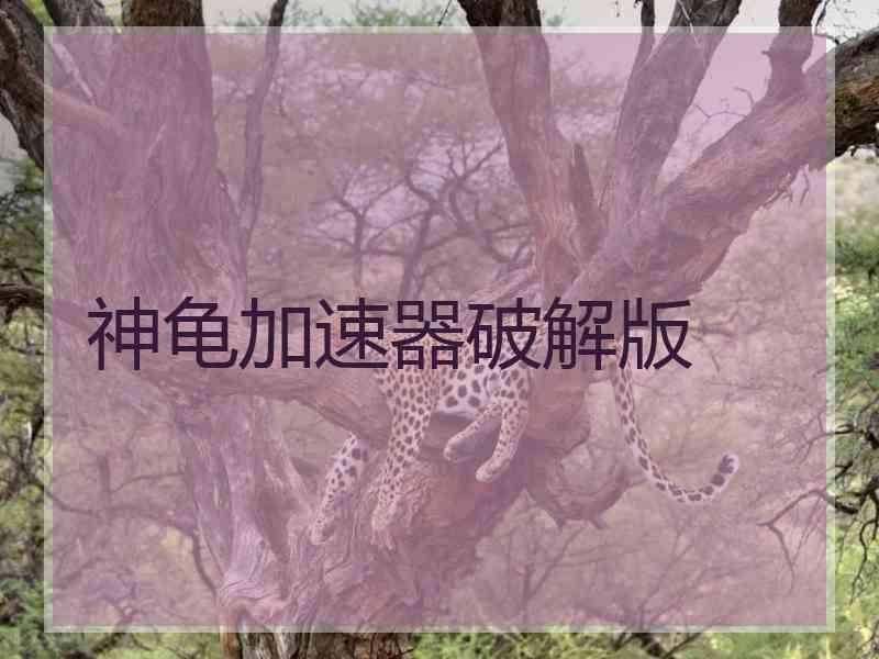 神龟加速器破解版