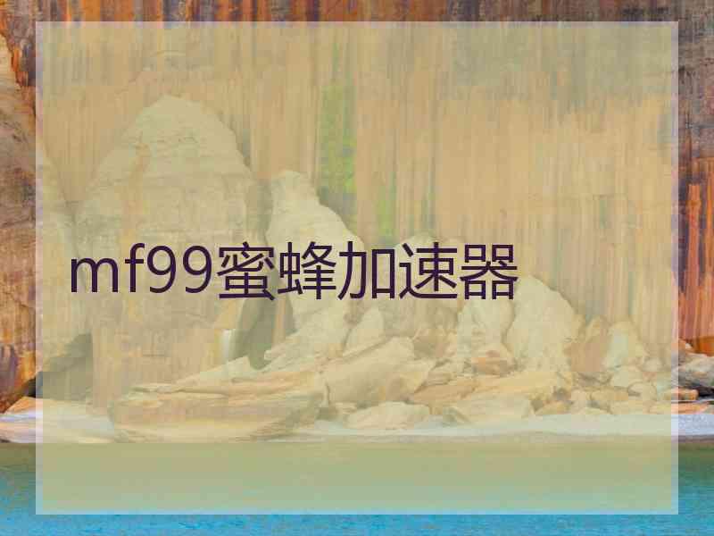 mf99蜜蜂加速器
