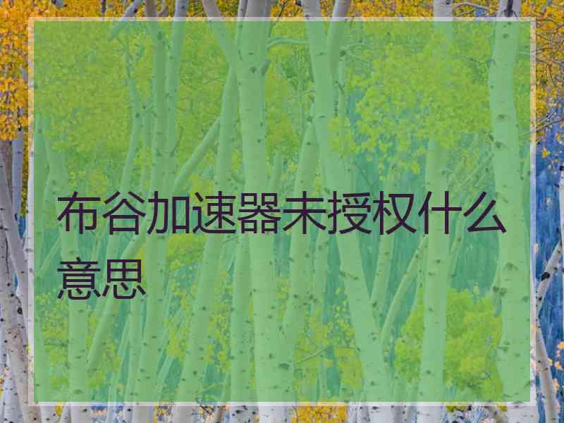 布谷加速器未授权什么意思