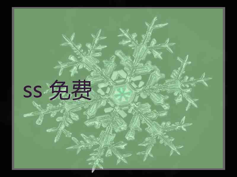 ss 免费