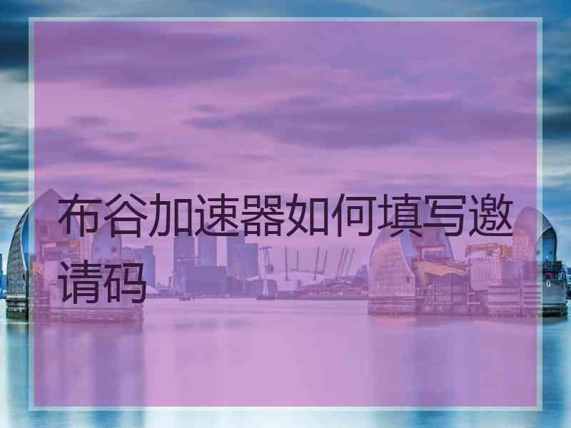 布谷加速器如何填写邀请码