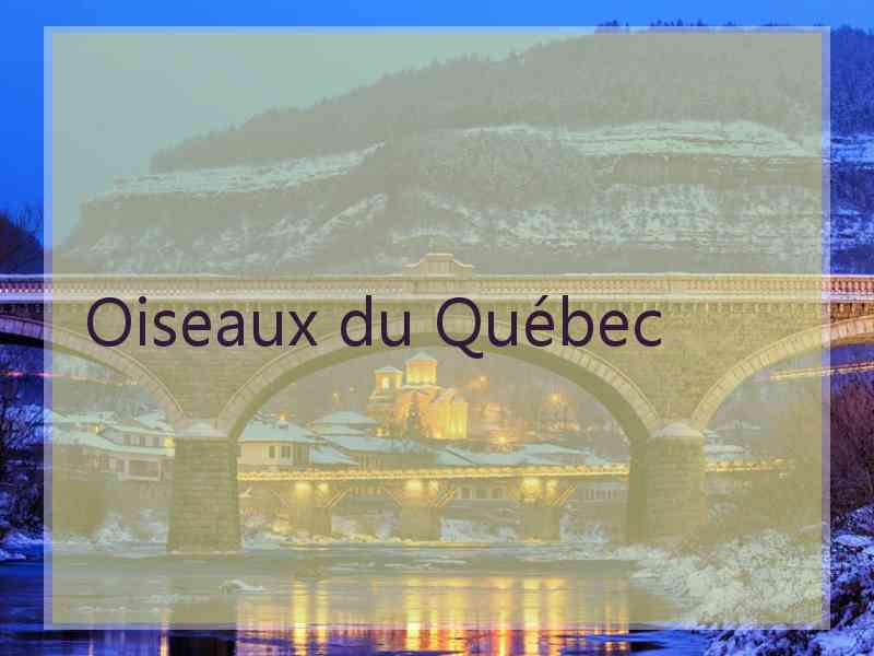 Oiseaux du Québec