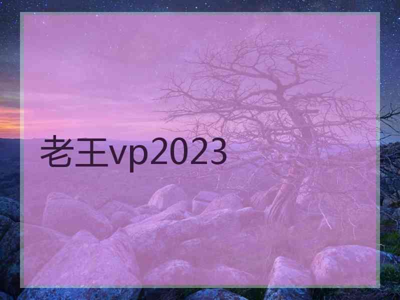 老王vp2023