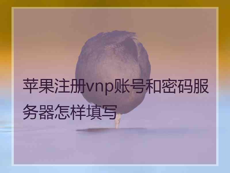 苹果注册vnp账号和密码服务器怎样填写