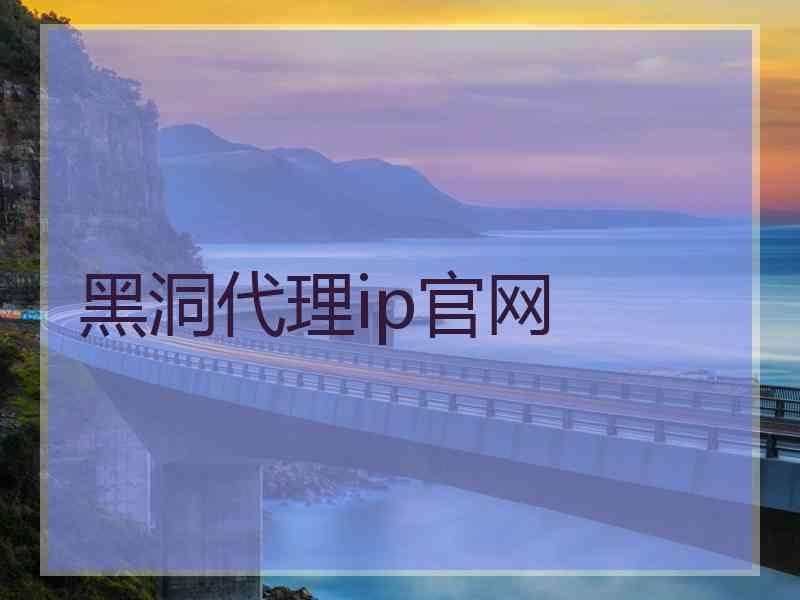 黑洞代理ip官网