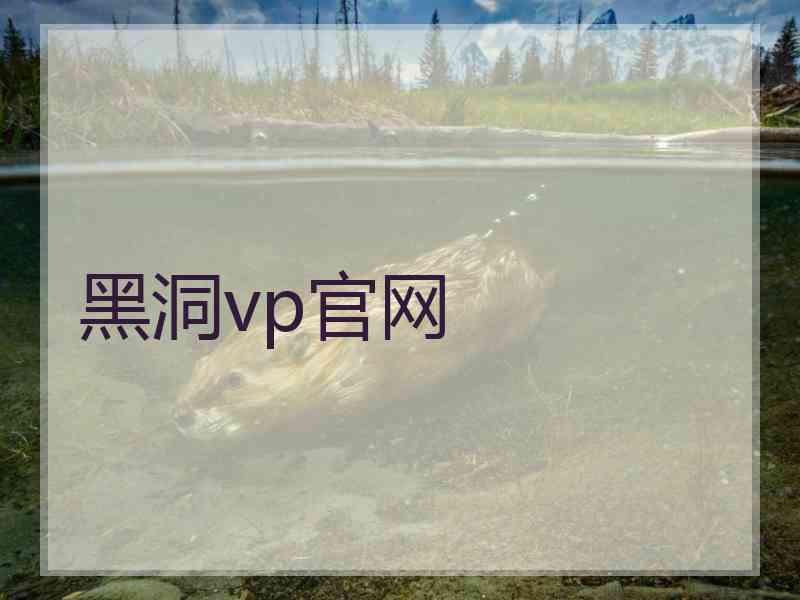 黑洞vp官网