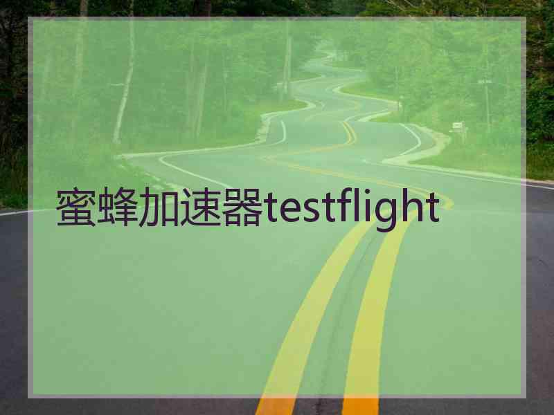 蜜蜂加速器testflight