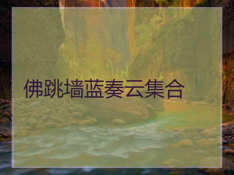 佛跳墙蓝奏云集合