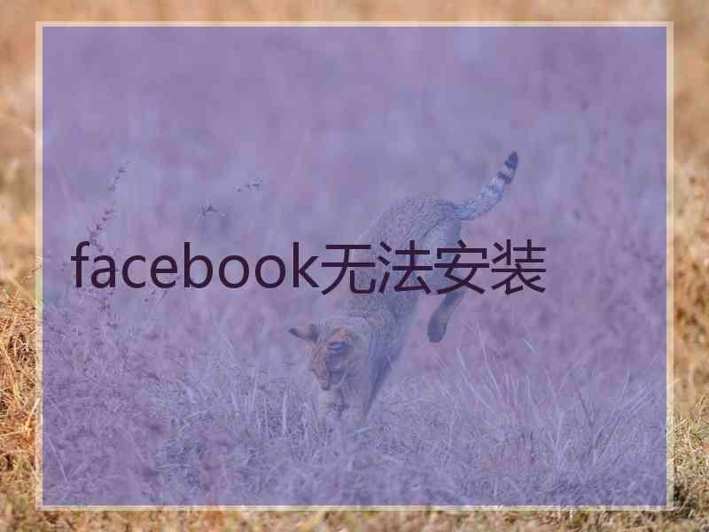 facebook无法安装