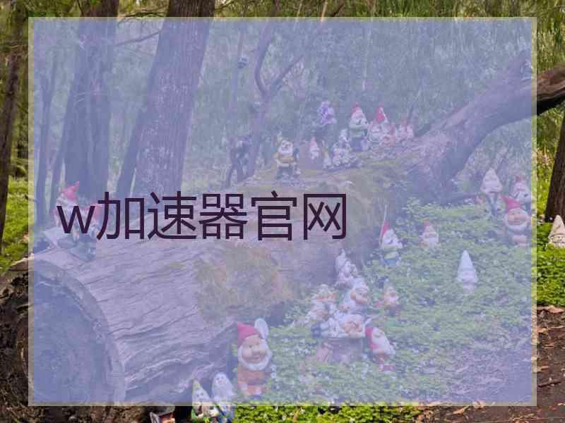 w加速器官网