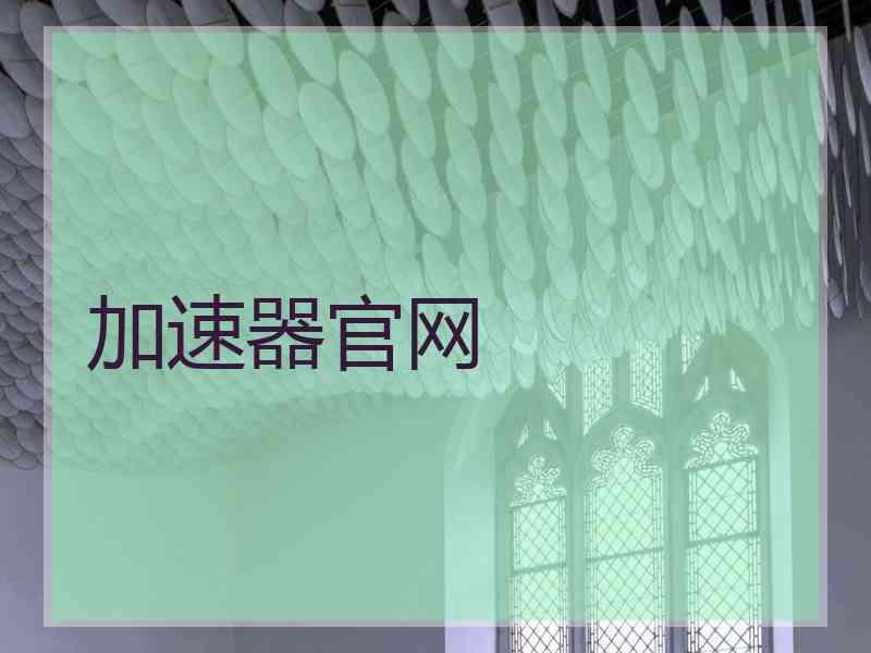 加速器官网