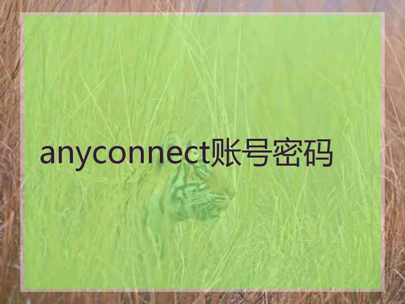 anyconnect账号密码
